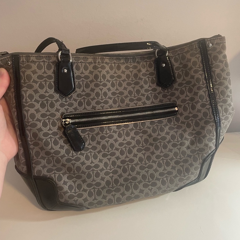 Coach Poppy Metallic Shoulder Bag